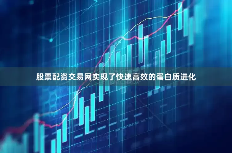 股票配资交易网实现了快速高效的蛋白质进化