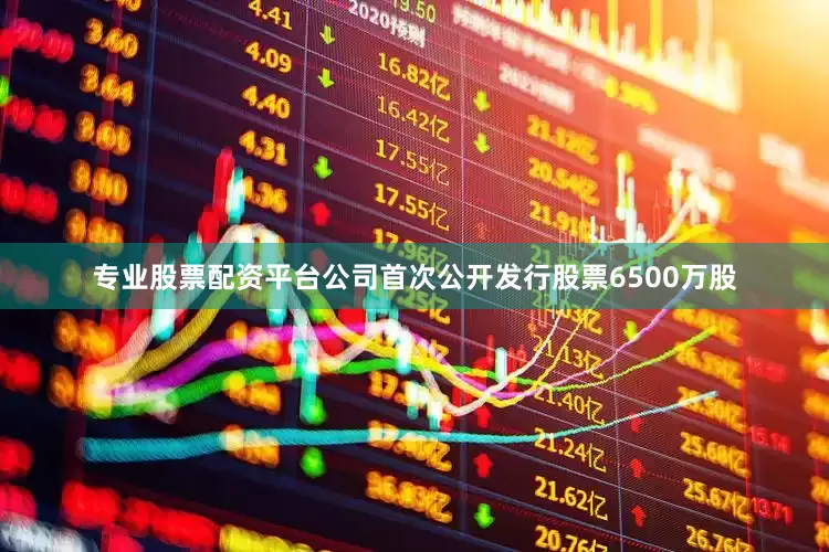 专业股票配资平台公司首次公开发行股票6500万股