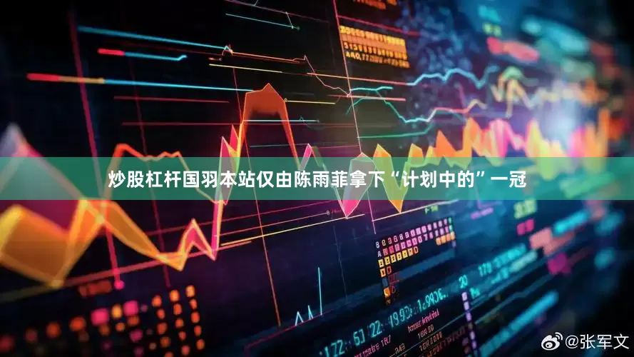 炒股杠杆国羽本站仅由陈雨菲拿下“计划中的”一冠