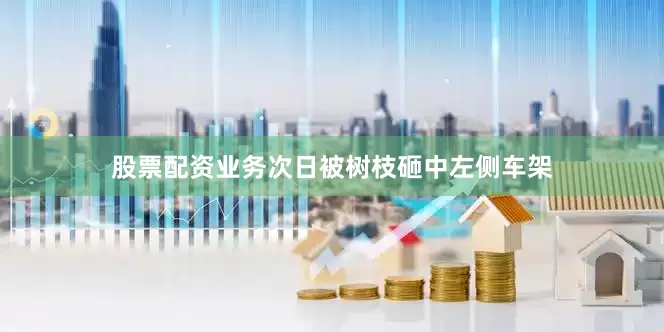 股票配资业务次日被树枝砸中左侧车架