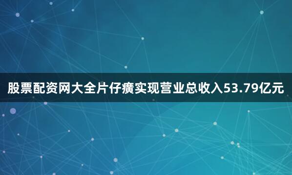 股票配资网大全片仔癀实现营业总收入53.79亿元