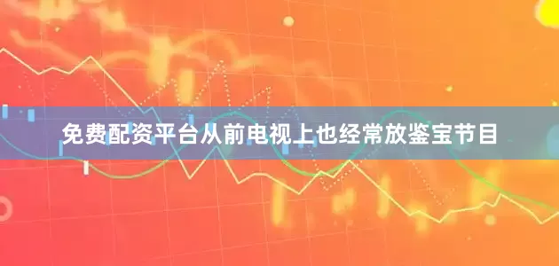 免费配资平台从前电视上也经常放鉴宝节目