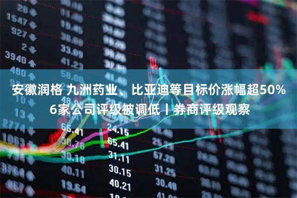 安徽润格 九洲药业、比亚迪等目标价涨幅超50% 6家公司评级被调低丨券商评级观察